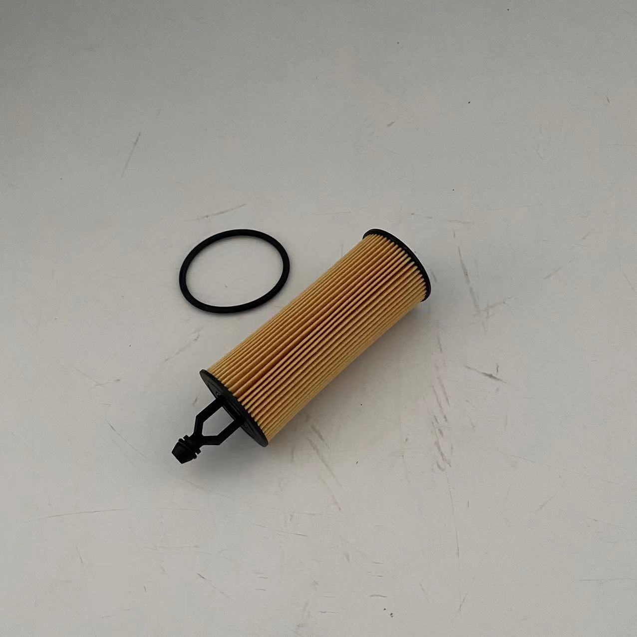 Filter minyak PG6296EX